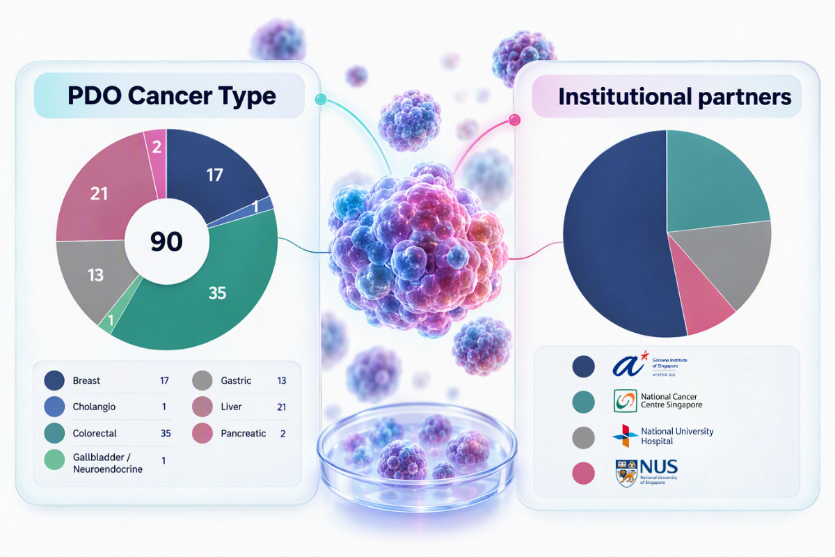 Chart shows PDO cancer types with Institutional partners NUS, National Cancer Centre Singapore, National University Hospital, and A*STAR GIS